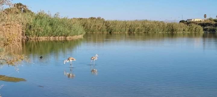 Vera Natura Apartamento Laura Εξωτερικό φωτογραφία