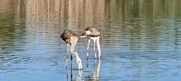 Vera Natura Apartamento Laura Εξωτερικό φωτογραφία